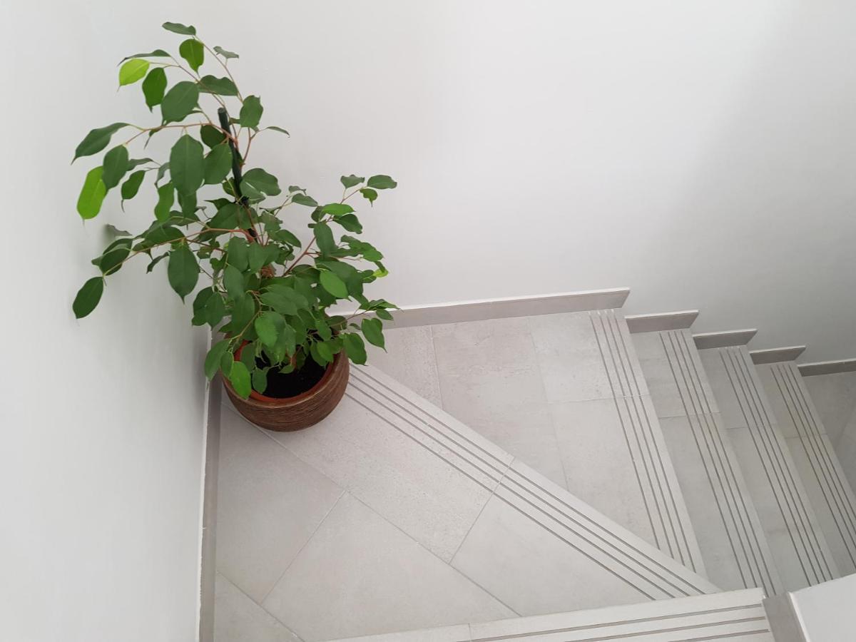 סן לורנסו דה אל אסקוריאל Loft Abantos - 120M2 Mas Terraza Y Jardin Independiente מראה חיצוני תמונה