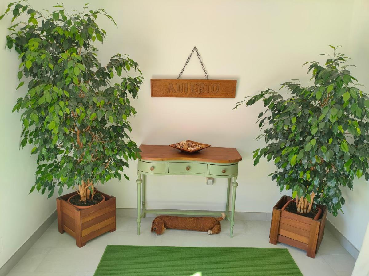 סן לורנסו דה אל אסקוריאל Loft Abantos - 120M2 Mas Terraza Y Jardin Independiente מראה חיצוני תמונה